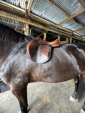 CWD Hunter Jumper Saddle 17.5 SE02