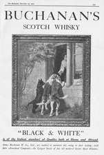 BUCHANAN'S SCOTCH WHISKY Dogs Begging at a Window - Antique Advertisement 1922
