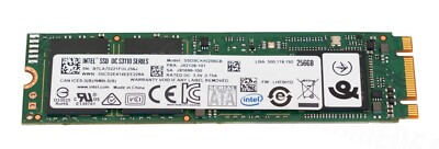 SSD Intel 256GB SATA M.2 2280 Usato/rigenerato - Per Carichi Di Lettura Intensivi