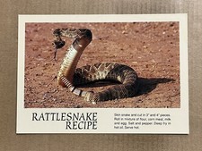 Postcard Western Diamondback Rattlesnake Recipe Vintage Snake PC