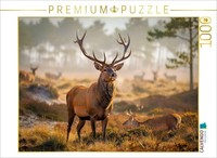 Calvendo Puzzle King Of The Shadows. | 1000 Pieces, Finished Size 25.2 × 18.9 In