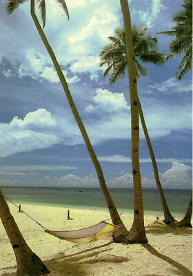 PC PHILIPPINES, PHILINES COCONUT DOTTED COAST, Modern Postcard (b43097)