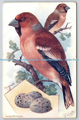 R742927 Hawfinch British Bords and Their Eggs Raphael Tuck and Sons Aquarette Se