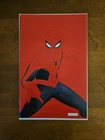 Amazing Spider-man The Sins of Norman Osborn #1 Negative Space Variant (NJP3)