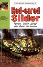 Red Eared Slider Turtles Real by Patterson, Jordan