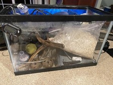 5 Gallon Aquarium with Accessories