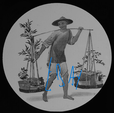EIN CHINESISCHER PORTIER MIT BLUMEN PORZELLAN UM 1875 Magische Laterne Dia ILLUSTRATION