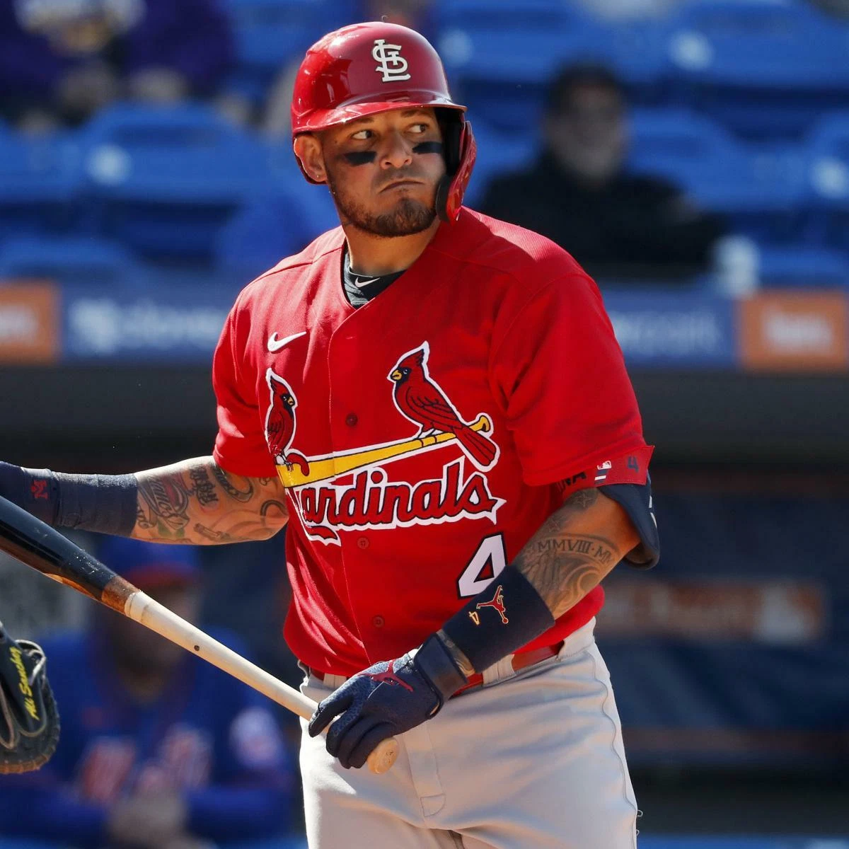 Stl cards jersey sale