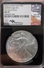 2020-W $1 American Silver Eagle NGC MS70 FDI Mercanti Signature Black Core -334
