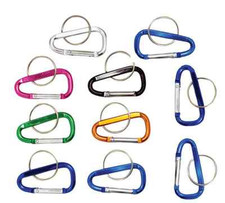  10 2" Variety of Aluminum Carabiners W/ Key Ring Backpack Camping Hiking