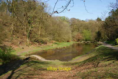 Foto 6x4 Teich in Sunnyhurst Wood Eines der vielen Ziermerkmale in c2011