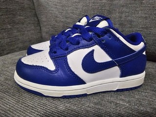 Toddler's Nike Dunk Low White/Concord Size 11C