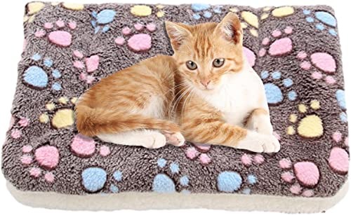 Couverture pour chat LegendTech le cadeau idéal pour le bien-être des chatons