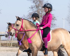 QHP Bareback Pads