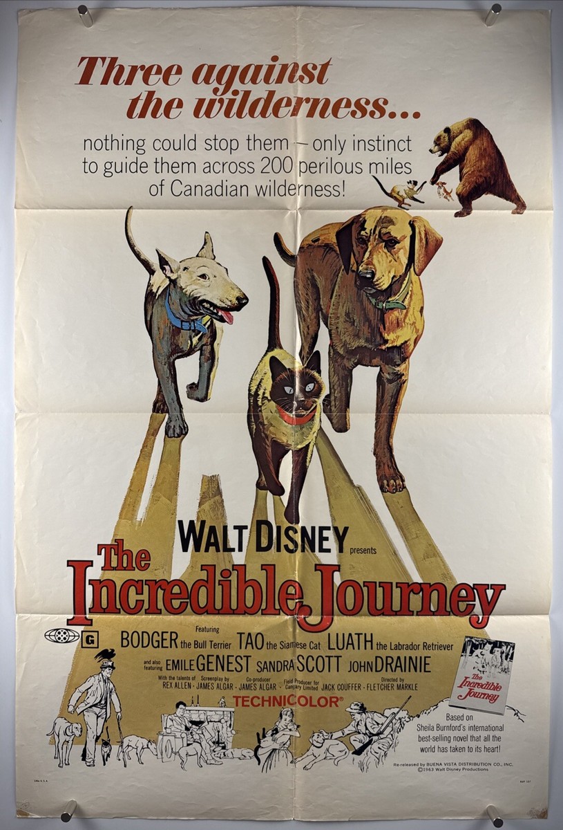 INCREDIBLE JOURNEY Movie Poster (VeryGood) One Sheet 1969 Walt
