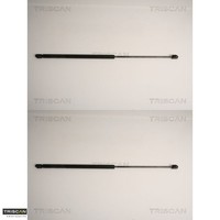 2X Gasfeder FüR Koffer-/Laderaum Triscan 871015239 DäMpfer GasdäMpfer
