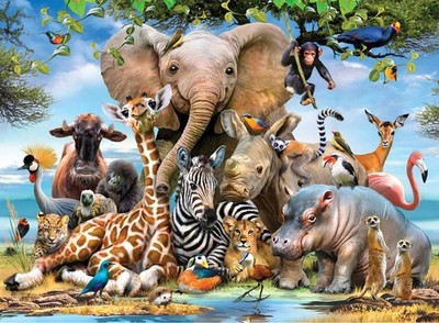 Puzzle - Africa Smile, 1000 Piece Jigsaw Puzzle, #1043