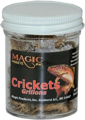 Magic Products Preserved Crickets Fishing Bait for Crappie Bream Trout