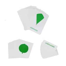 Botany Cabinet Nomenclature Cards - MONTESSORI BIOLOGY / BOTANY MATERIALS