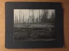 VINTAGE RAILROAD INDUSTRIAL: Northern Pacific Railroad Train Logging Car Photo