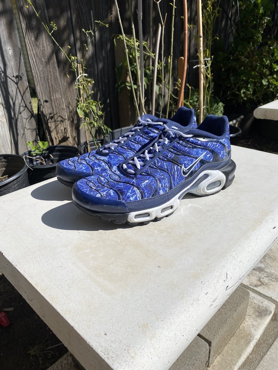 nike tn air max plus palm trees blue