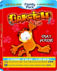 Animation Garfield Cie Chat Perche Br Dvd Region 2 Dvd New Ebay