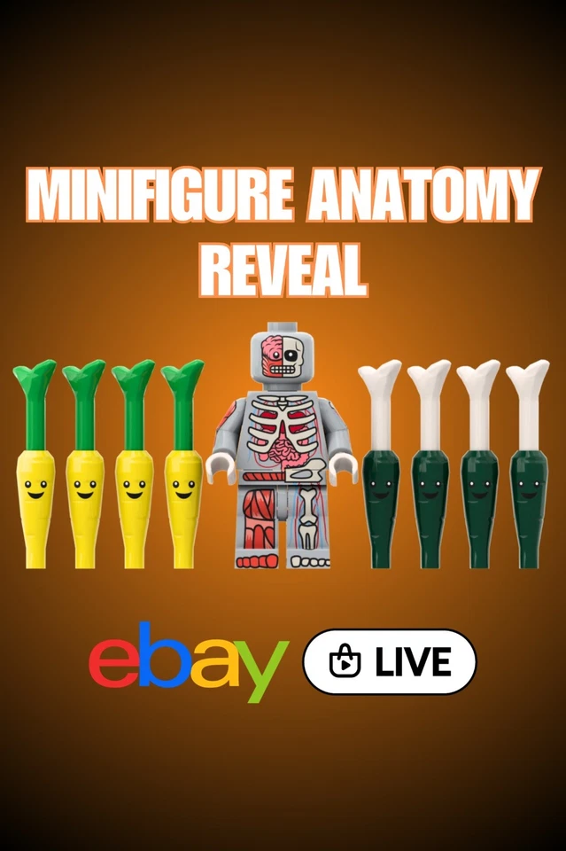 Minifigure Anatomy Reveal - Individuell bedruckte Minifiguren & Teile🥕