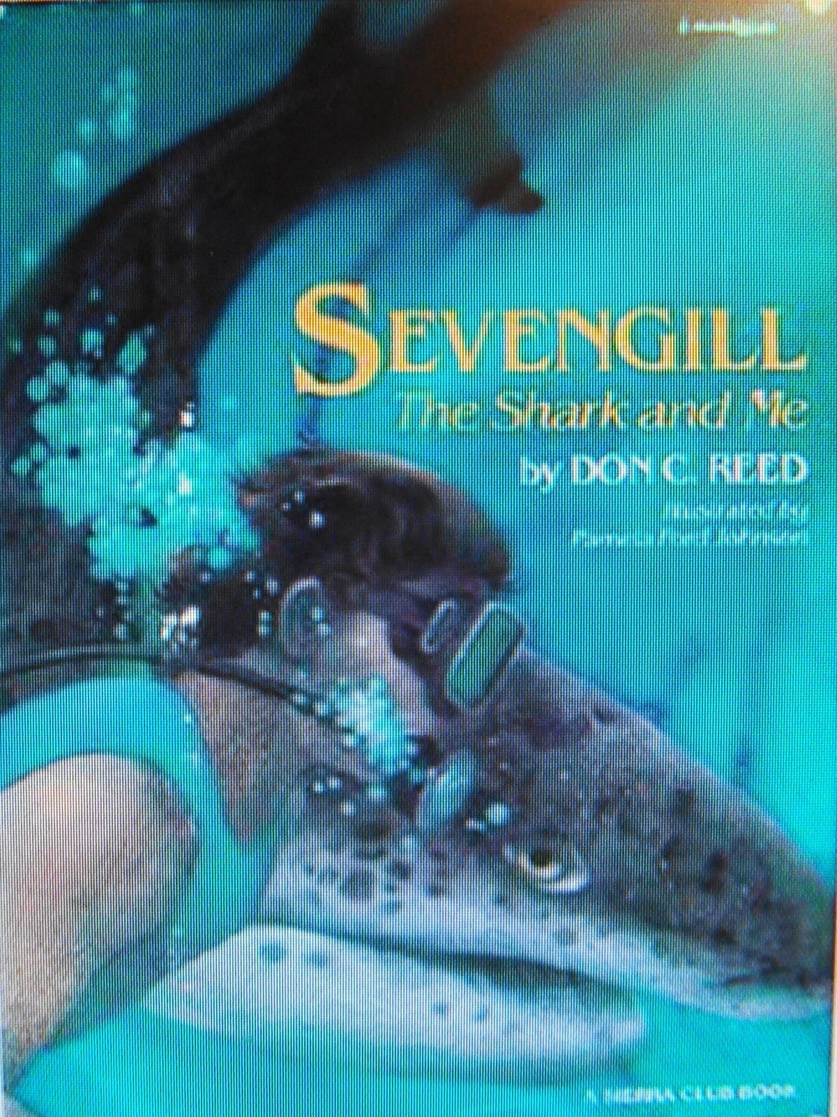 Sevengill: Shark & Me by Reed