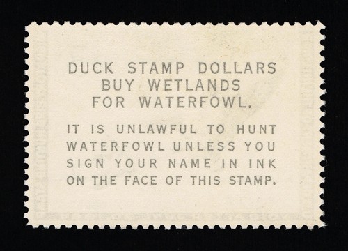 EXCEPTIONAL SCOTT #RW30 MINT PRISTINE OG NH PSE CERT GRADED XF-90 #20244 - Picture 3 of 3
