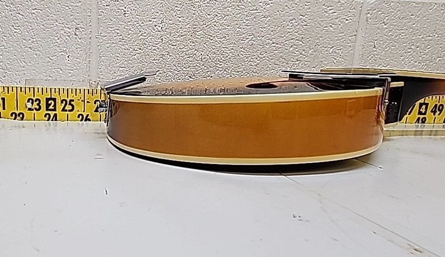 Mint Condition Johnson Oval Hole Mandolin MA100 with Hard Case (SR) eBay