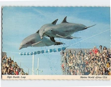 Postcard High Hurdle Leap Marine World Africa USA California USA