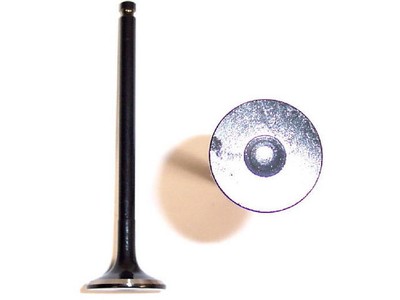 99RY69W Exhaust Valve Fits 1998-2001 Kia Sephia 1.8L 4 Cyl 16-Valve DOHC