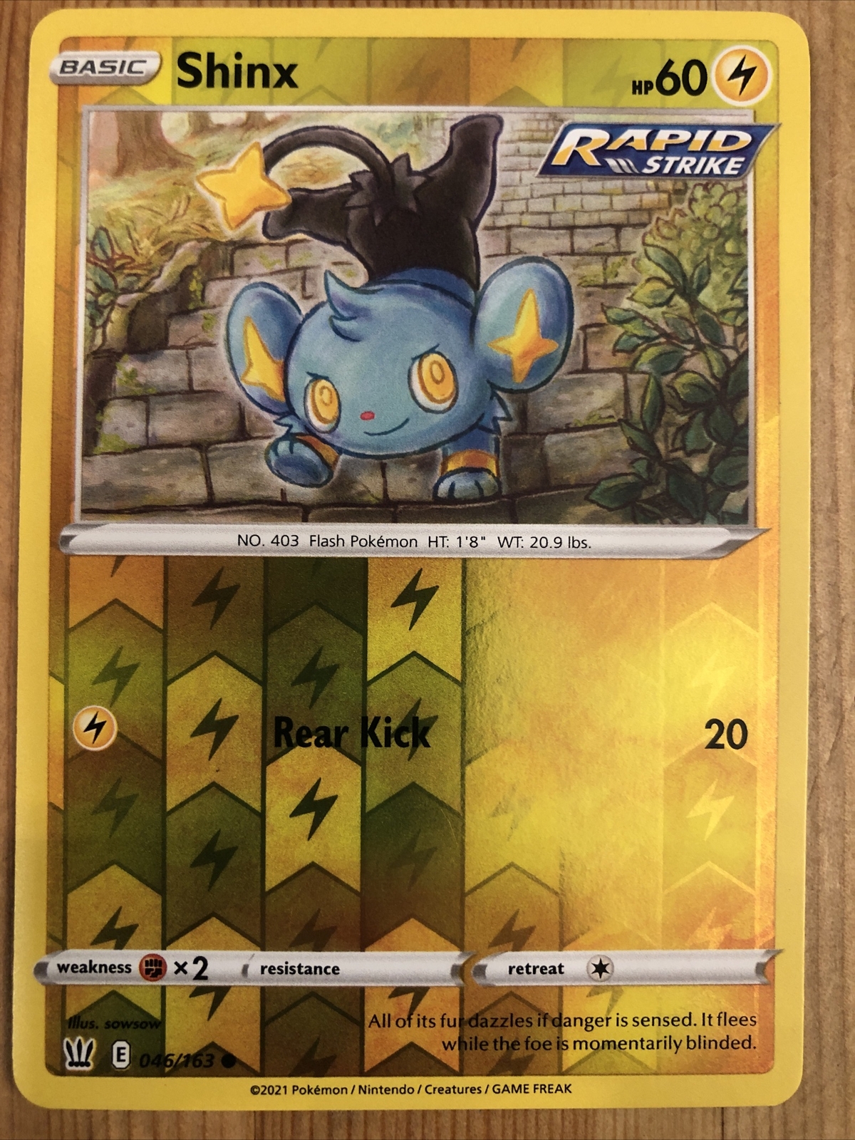 Shinx