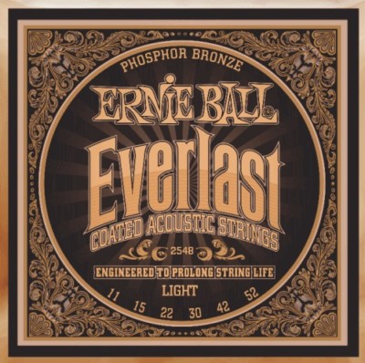 Ernie Ball 2548 Everlast Phosphor Bronze Light Gauge Akustiksaiten 11 -52