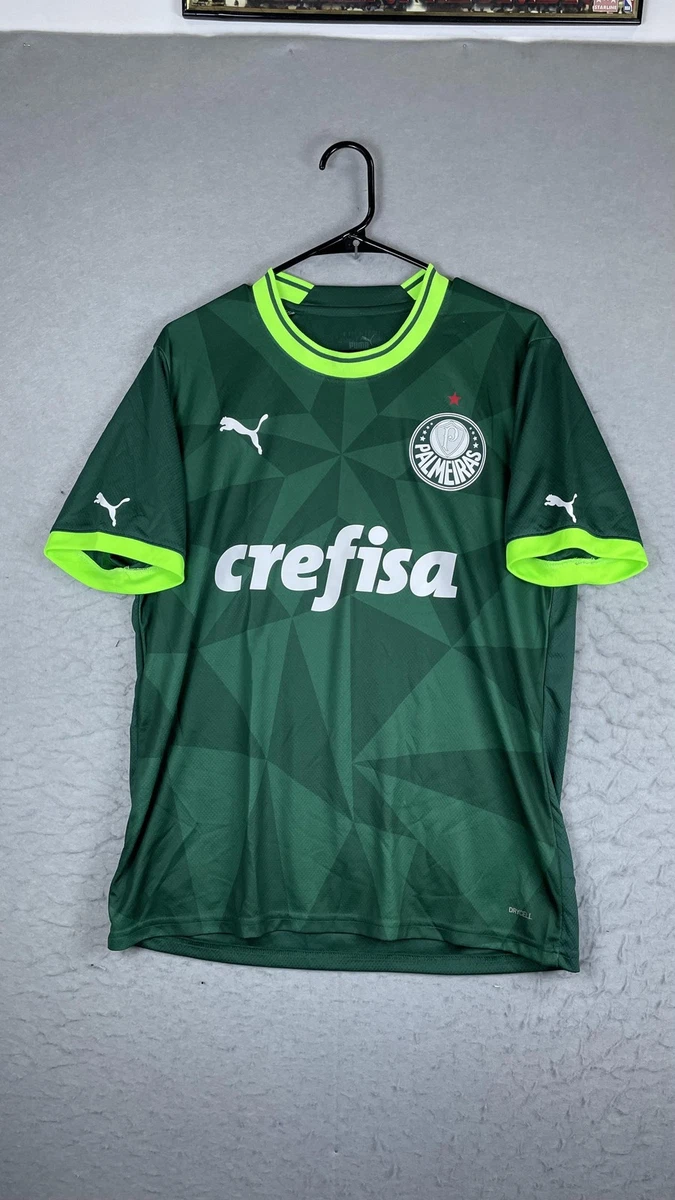 Palmeiras Cruz De Savoia São Paulo Brésil Équipe De Football