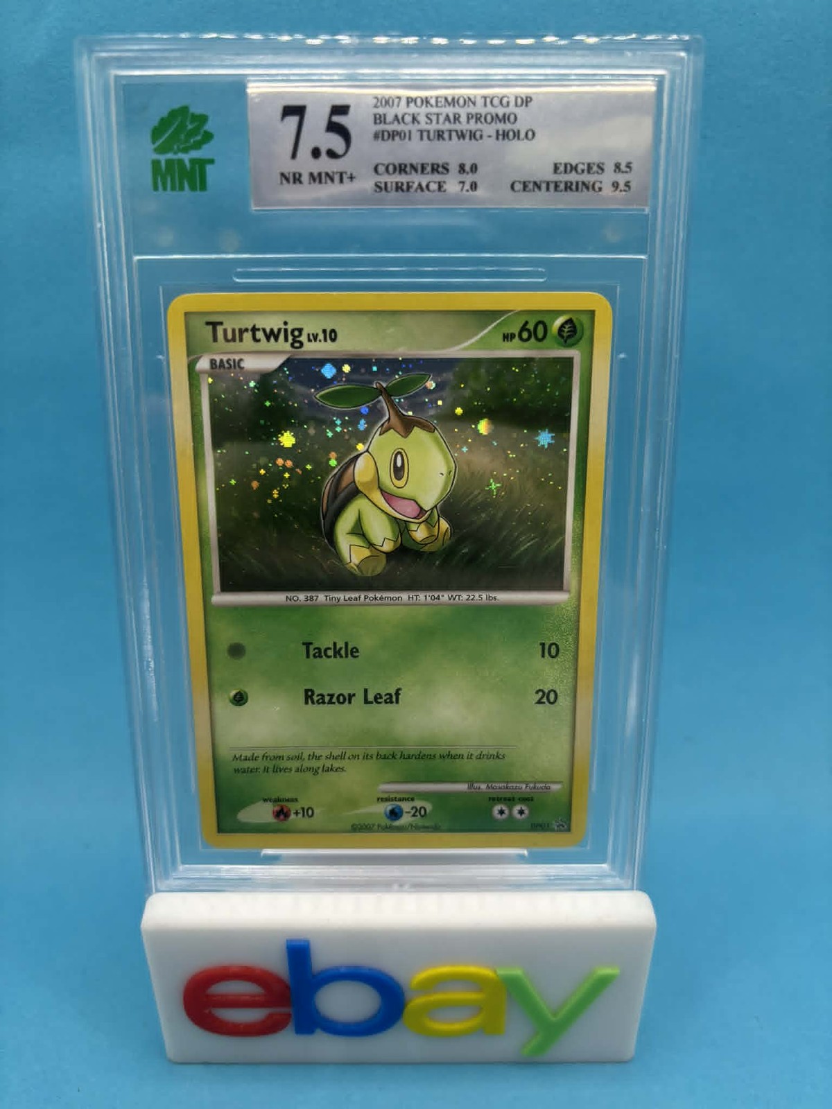 2007 Black Star Turtwig Holo #DP01 MNT 7.5 