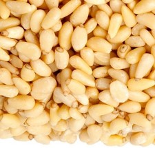 RAW UNSALTED CALIFORNIA PINE NUTS BULK VALUE BAG LIMITED PICK YOURS BAG SIZE NOW