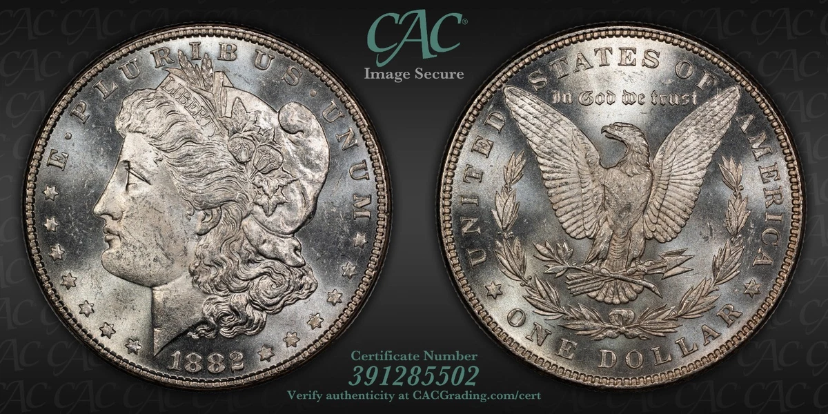 MS 62 Graded 1882 Year Morgan US Dollars (1878-1921) for sale | eBay