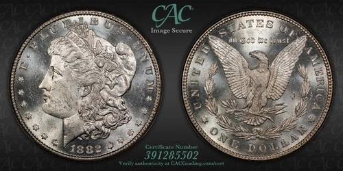 1882-P Morgan Dollar — photo from another recent sale