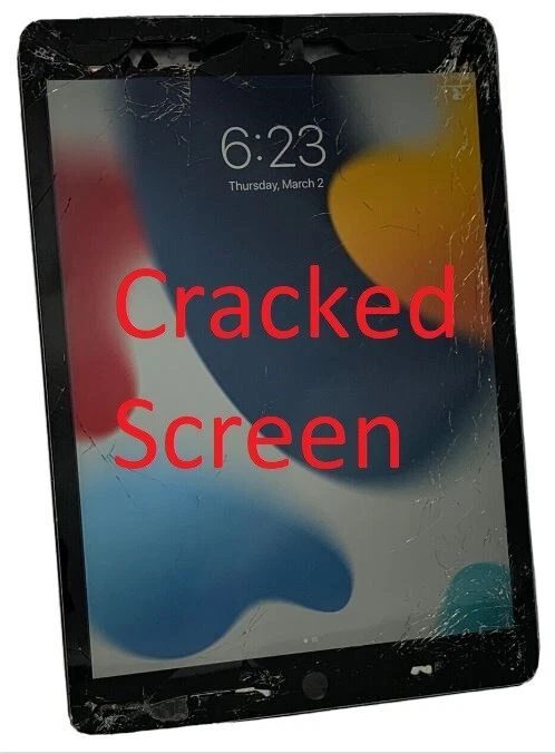 Apple iPad 10.2 7th Generation A2197 128GB Gray Wi-Fi Only iOS