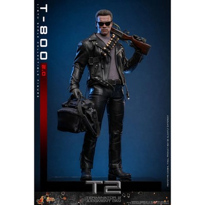 Hot Toys - Terminator 2: Judgment Day MMS 1/6 - T-800 V2.0 MMS795