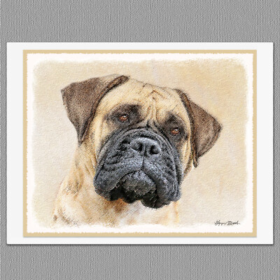 6 Bullmastiff Dog Blank Art Note Greeting Cards
