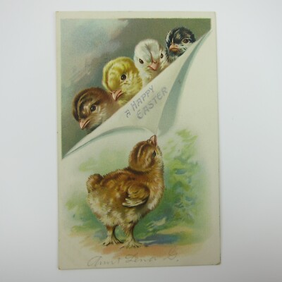 Easter Postcard 5 Chicks Brown Yellow White Black Raphael Tuck Embossed Antique