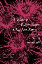 A Flower Whose Name I Do Not Know by David Romtvedt (English) Paperback Book