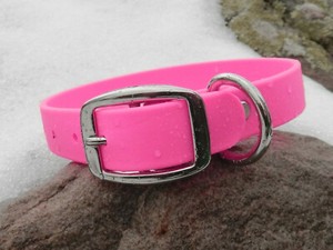 easy dog collar