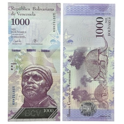 Venezuela 2017 1000 Bolivares Banknote P95 UNC Negro Primero 2 Armadillos