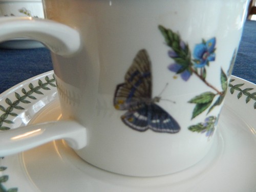 Portmeirion "The Botanic Garden" Teacup & Saucer 1972 England "Speedwell" 10-2 - 第 4/11 張圖片