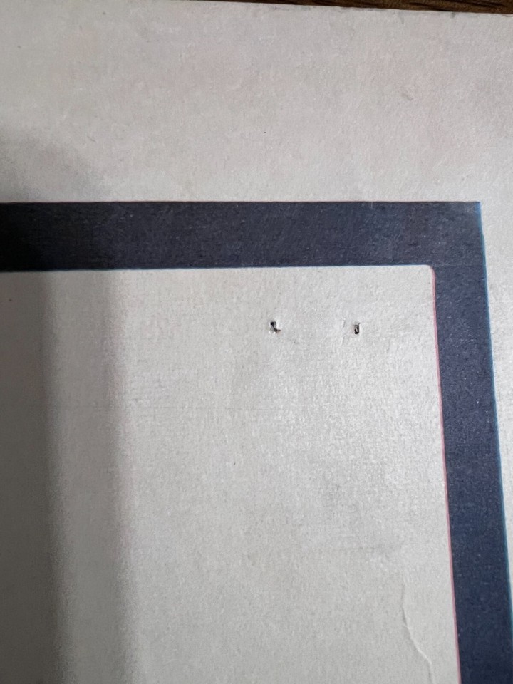 TAFFY AND THE JUNGLE HUNTER 1965 MOVIE POSTER 22x28 SHARY MARSHALL eBay