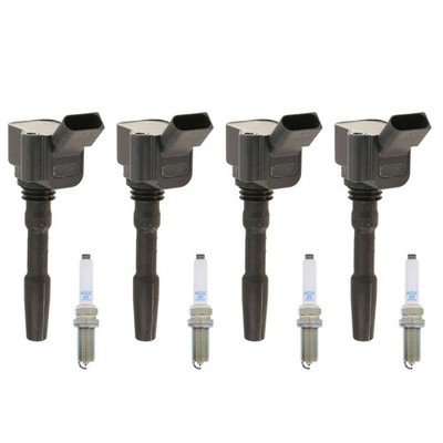 Eldor 4 Ignition Coils NGK Platinum Spark Plugs Kit for A3 A4 Q7 Golf R Jetta