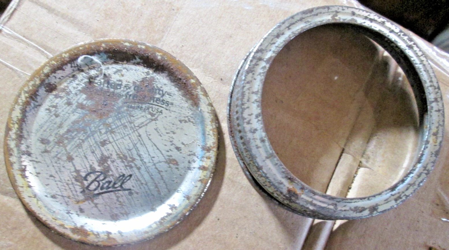 Picture 5 of 5